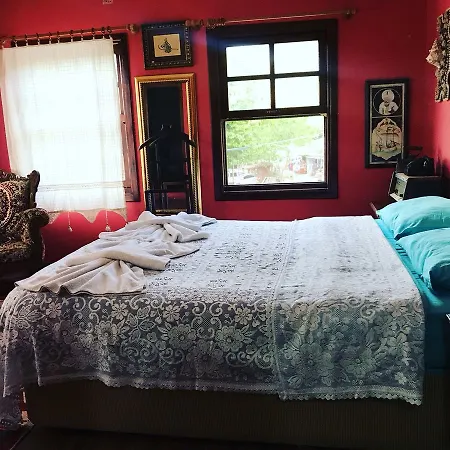 Maison d'hôtes Cinaralti Sirince Selçuk